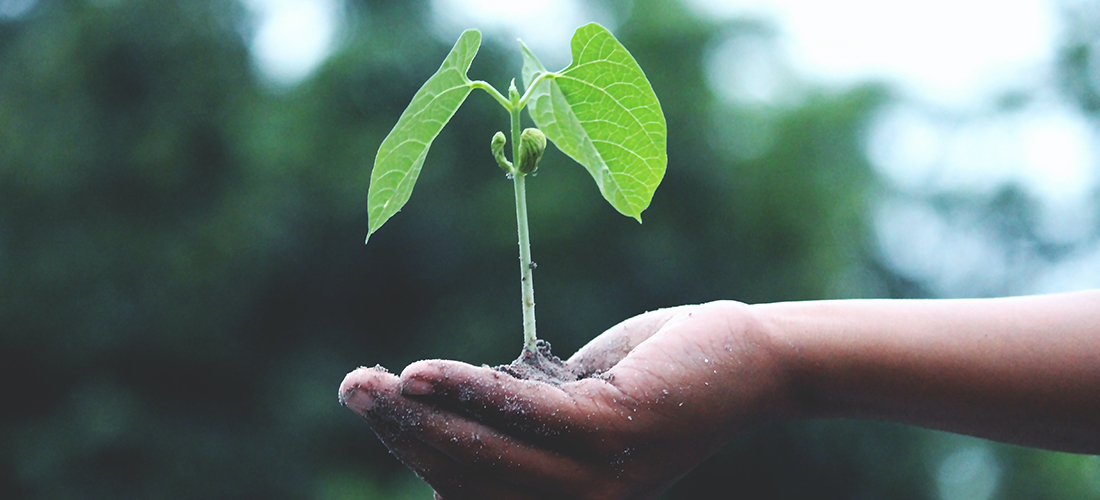 Developing a Fundraising Culture