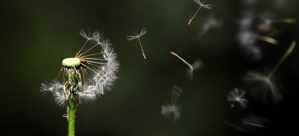 The Quiet Revolution in Fundraising
