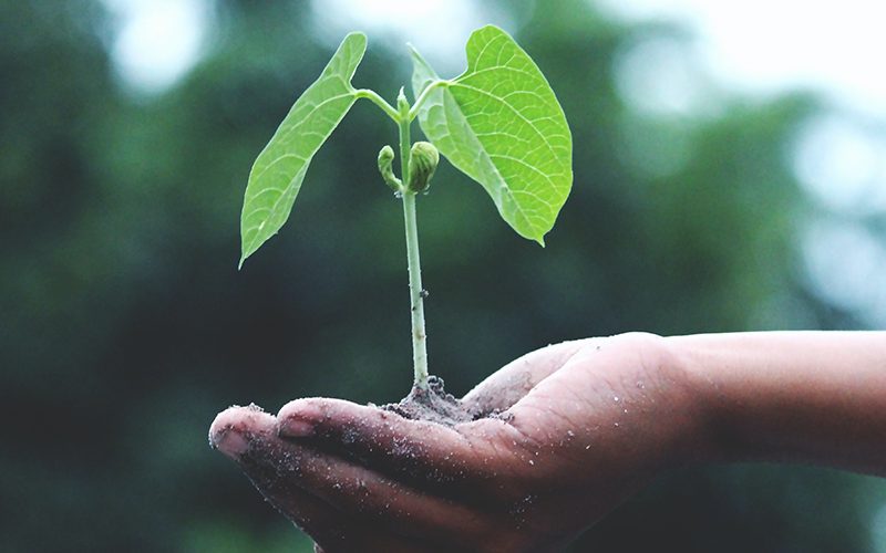 Developing a Fundraising Culture