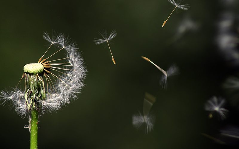 The Quiet Revolution in Fundraising